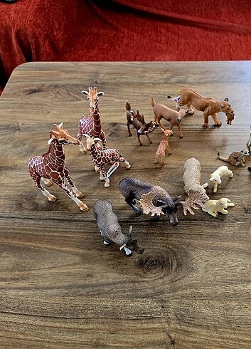 Beden Schleich