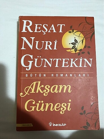 akşam güneşi roman