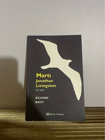 Martı jonathan livingston
