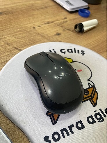 mouse