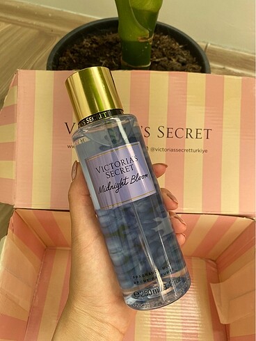 Victoria s Secret bare vanilla ve midnight