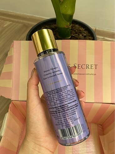  Beden bare vanilla ve midnight