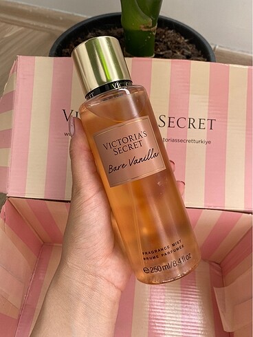  Beden Renk bare vanilla ve midnight