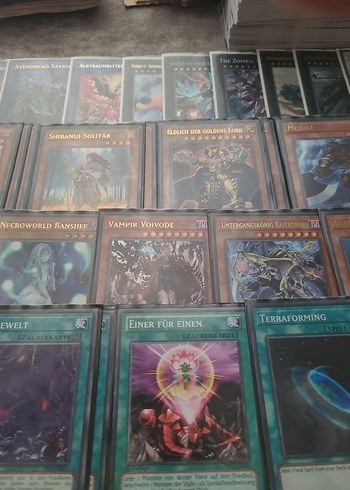Beden Yugioh Zombie Deck almanca