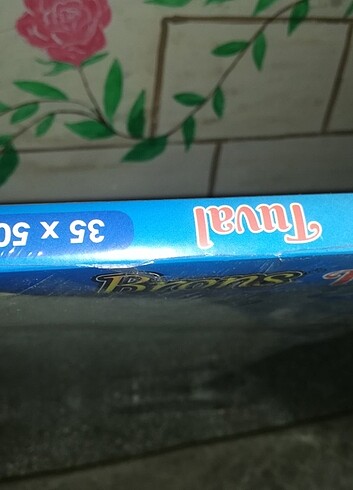  Beden Brons tuval resim tablusu