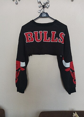 bulls sweatshirt crop