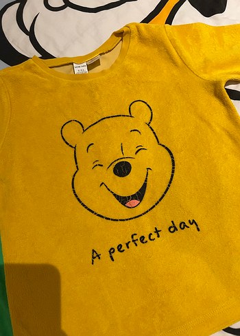 6 Yaş Beden Winnie the Pooh Havlu Pijama Takımı