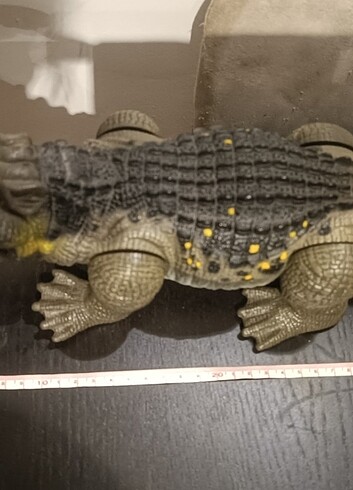  Beden Chap Mei Timsah Dev boy Sesli 40cm