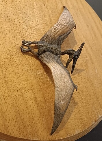  Beden Papo Pteranodon dinozor dinazor oyuncak figür