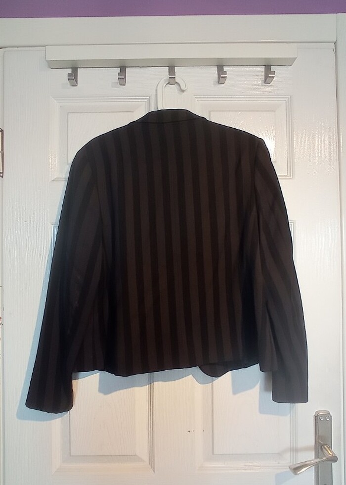 Çizgili ceket - Görsel 2