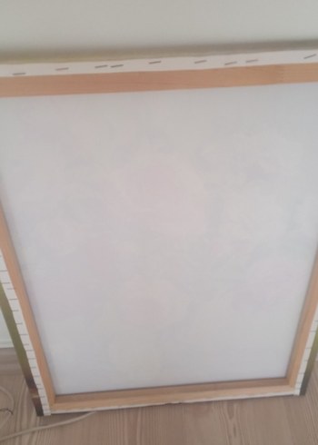 Diğer Pembe ve Beyaz Güller Tablosu