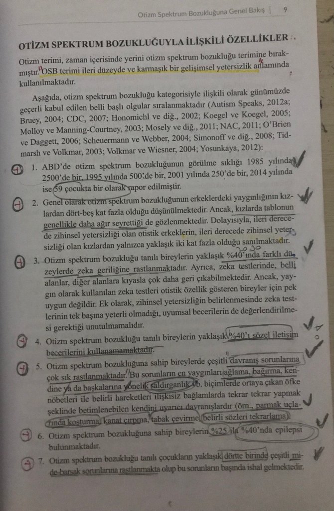 Otizm Spektrum Bozukluğu - Görsel 2