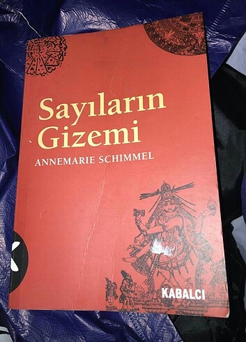 Sayıların gizemi 