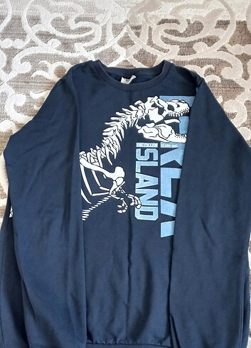 LC WAIKIKI ERKEK ÇOCUK SWEET 
