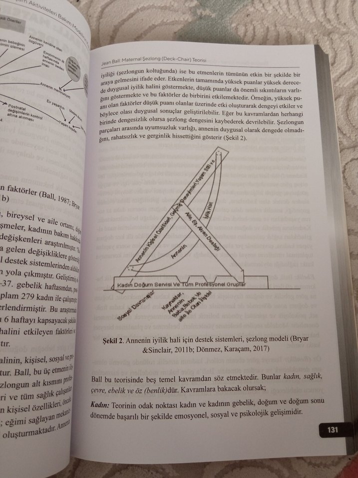 Ebelikte Bakım Süreci Kitabı - Prof. Dr. Özgür Alparslan - Görsel 3