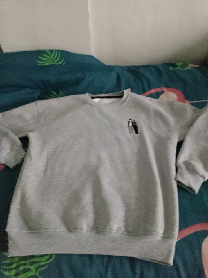 Gri Baskılı Kadın Sweatshirt - Görsel 2