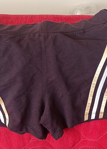 Adidas Adidas şort 