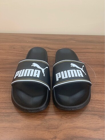 Puma terlik