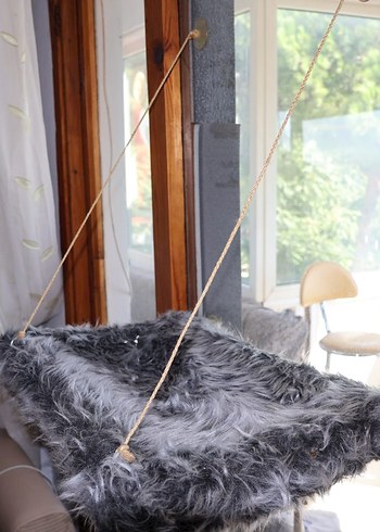 Cama yapışan kedi yatağı - Görsel 2