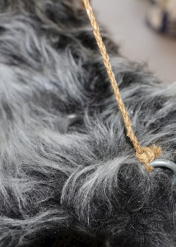 Cama yapışan kedi yatağı - Görsel 4