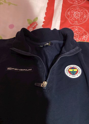 Fenerbahçe Spor Okulları Erkek Sweatshirt - Görsel 3