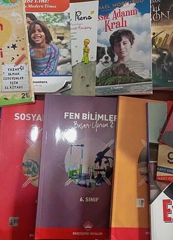 Bahçeşehir Koleji 6.Sınıf Ders Kitapları 