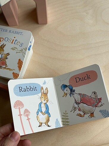Beden Renk Peter Rabbit Kitap Serisi