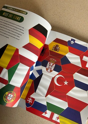 Avrupa Şampiyonası Tarihi Kitabı - Görsel 4