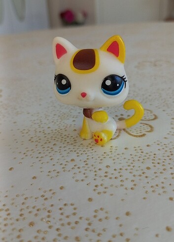  Littlest pet shop kedi
