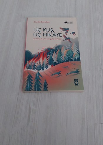 Üç Kuş, Üç Hikaye Romanı