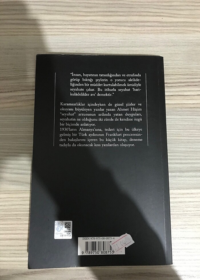 Frankfurt Seyahatnamesi - Görsel 5