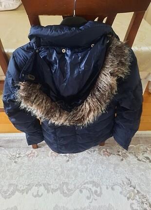 Tommy mont