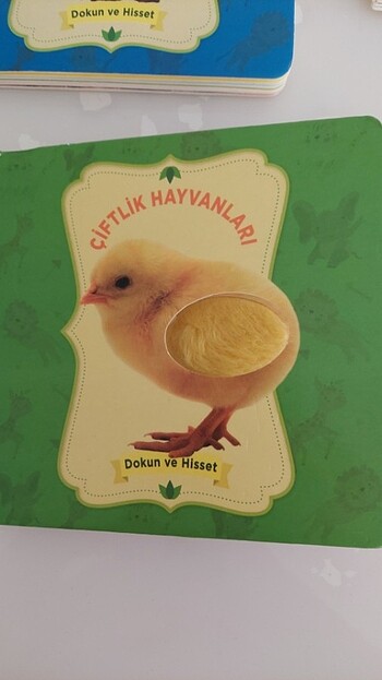  Bebek kitap