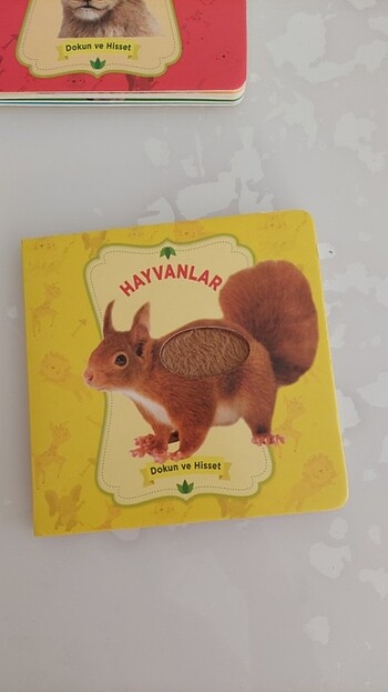  Beden Bebek kitap