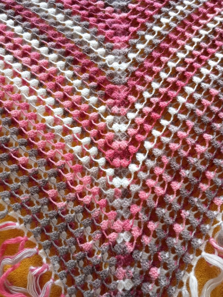 Renkli Örgü Kadın Şal - Görsel 2