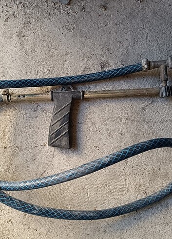 Pürmüz 