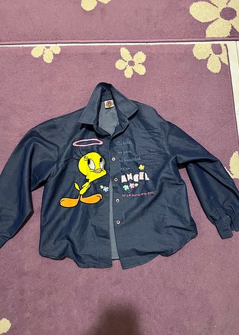 Walt Disney World Standart Beden