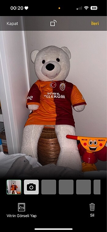 Peluş ayı