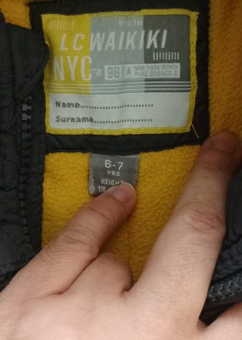 Sarı Astarlı Gri Erkek Çocuk Mont - Görsel 5