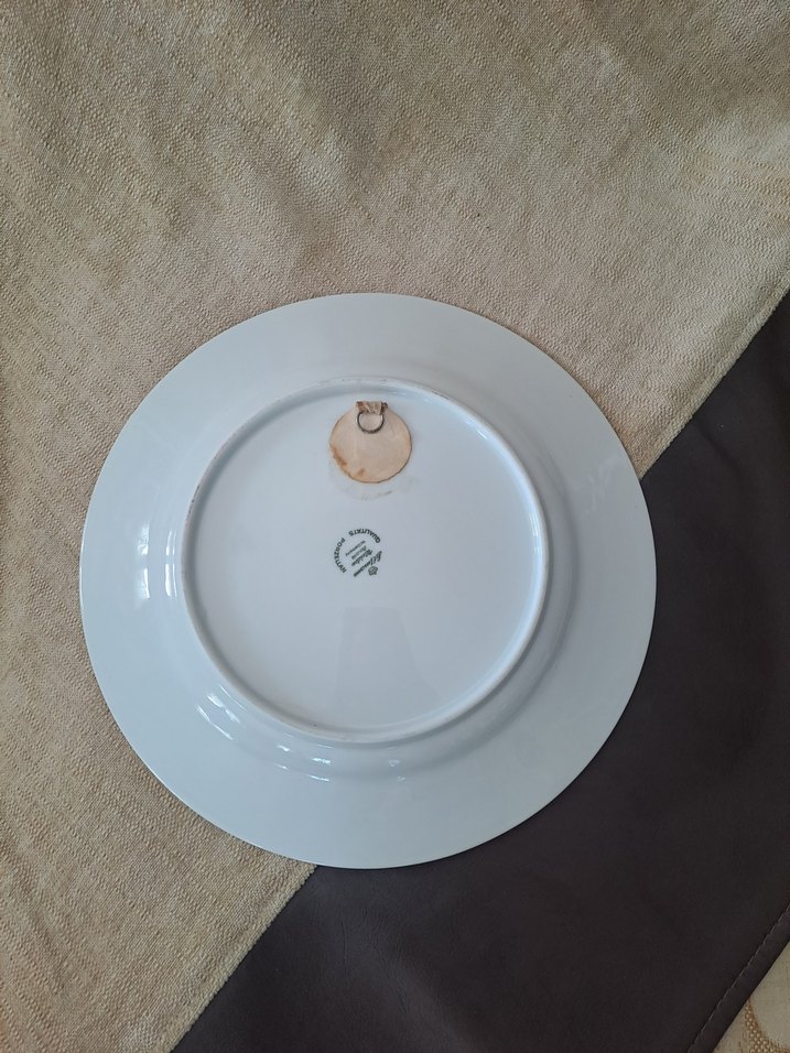 Bavaria porselen Beyaz Tabak - Roma Koleksiyonu - Görsel 2