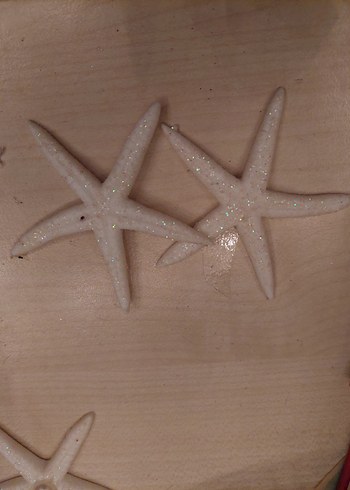 Deniz Kabuğu ve Yapay Deniz yıldızı - Görsel 4