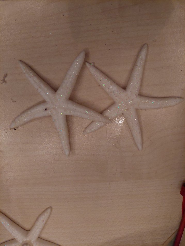 Deniz Kabuğu ve Yapay Deniz yıldızı - Görsel 4