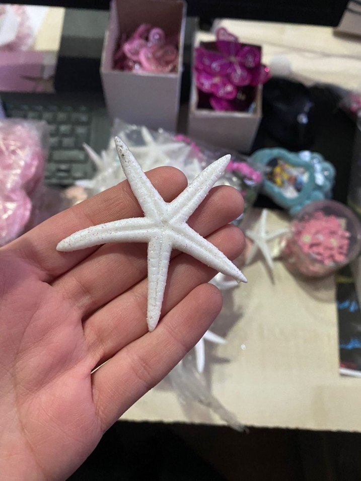 Deniz Kabuğu ve Yapay Deniz yıldızı - Görsel 2