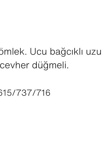 Zara Kahverengi Transparan Kadın Gömlek - Görsel 9