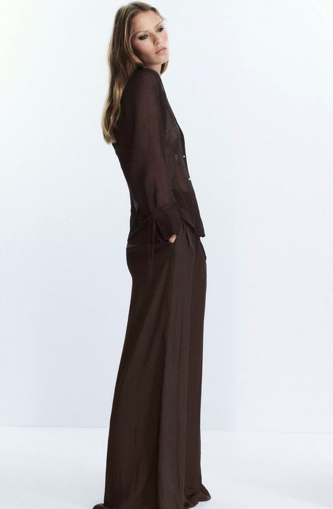 Zara Kahverengi Transparan Kadın Gömlek - Görsel 3