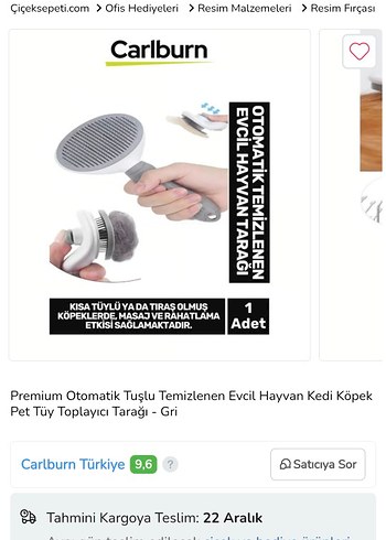Gri Tüy Toplayıcı Kedi ve Köpek Fırçası - Görsel 8