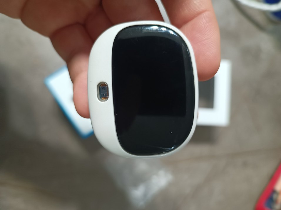 akıllı tasma - Görsel 3