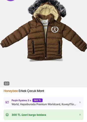 Erkek Çocuk Gri Kürklü Mont - Görsel 4