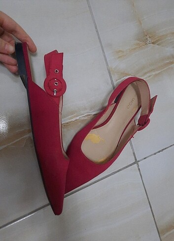 Mango babet