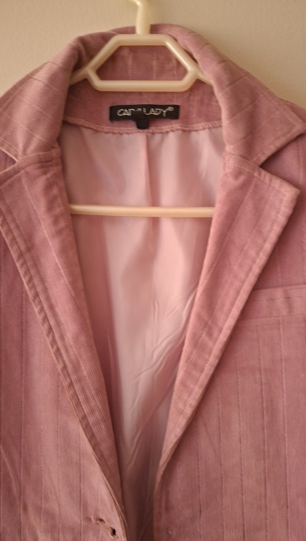 Pembe Kadife Kadın Blazer Ceket - Görsel 2